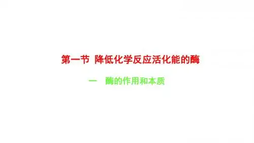 酶的作用和本质
