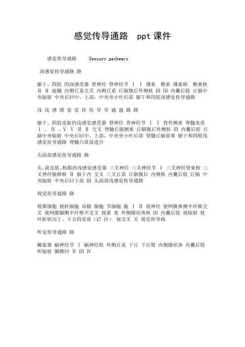 感觉传导通路  ppt课件.doc