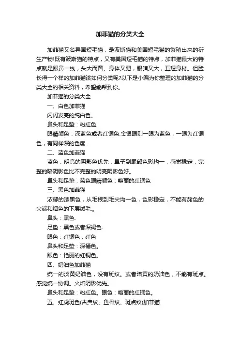加菲猫的分类大全