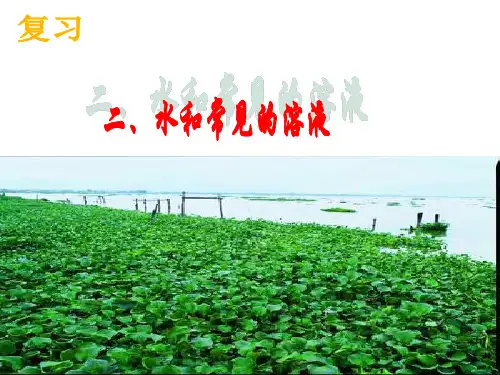 水与常见的溶液