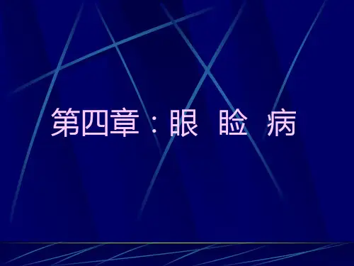 泪腺PPT课件