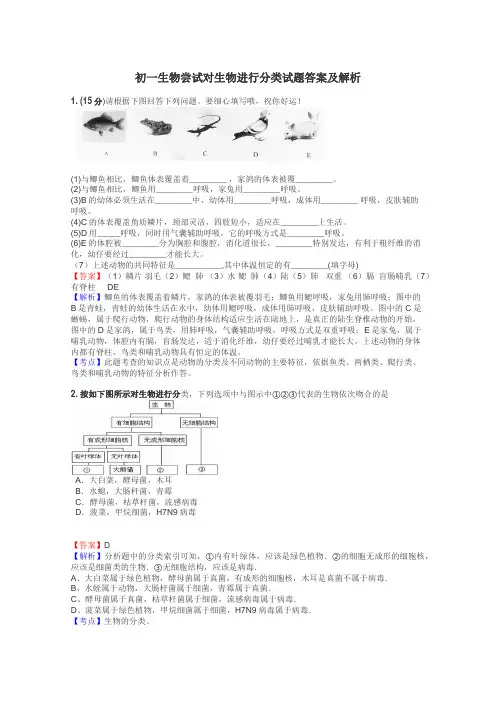 初一生物尝试对生物进行分类试题答案及解析
