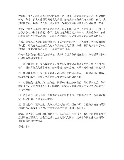 新当选基层支书发言稿范文