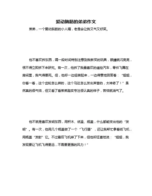 爱动脑筋的弟弟作文