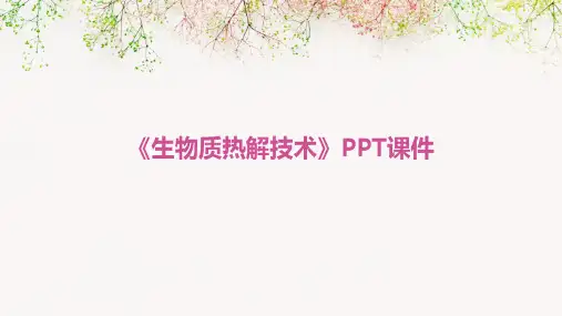 《生物质热解技术》课件