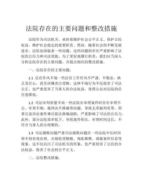 法院存在的主要问题和整改措施