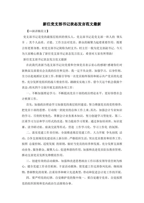 新任党支部书记表态发言范文最新