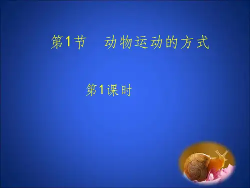 动物的运动方式ppt课件