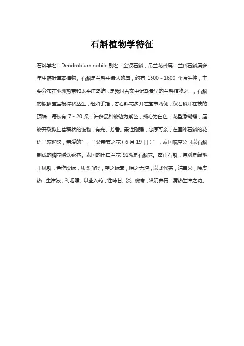 石斛植物学特征