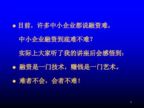中国中小企业融资二十八种模式与实务运作PPT