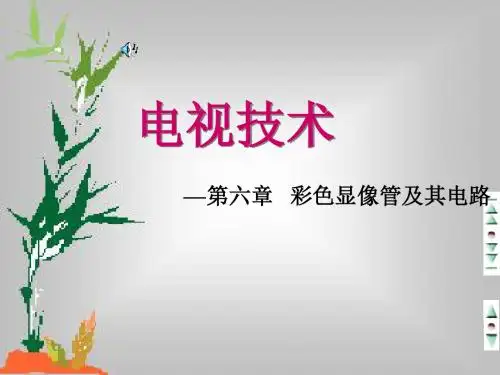 电视技术 第六章  彩色显像管及其电路