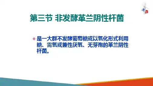 革兰阴性需氧和兼性厌氧性杆菌鉴定—非发酵菌的共性(微生物检验课件)