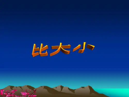 人教版数学比大小PPT课件1