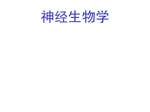 神经生物学的理论概述及神经系统疾病的研究