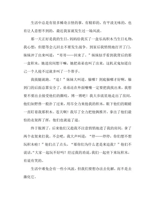 风波的作文450字