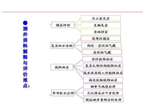 测井资料解释与评价难点