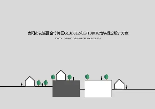 贵阳市花溪区金竹片区地块(小学+中学) 成执
