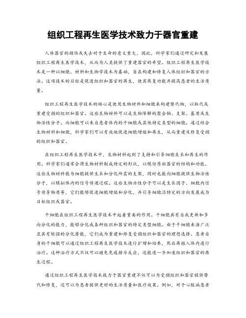 组织工程再生医学技术致力于器官重建