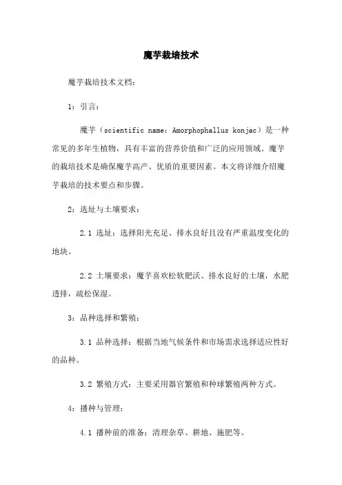 魔芋栽培技术