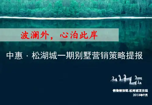 某别墅营销策略提报