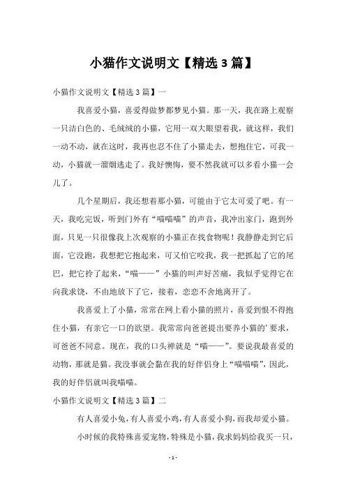 小猫作文说明文【3篇】