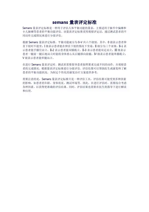 semans量表评定标准