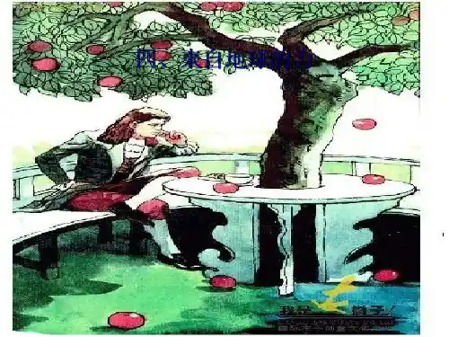 沪科版八年级物理来自地球的力 优秀PPT