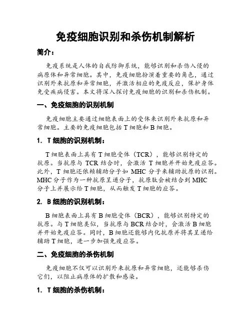 免疫细胞识别和杀伤机制解析