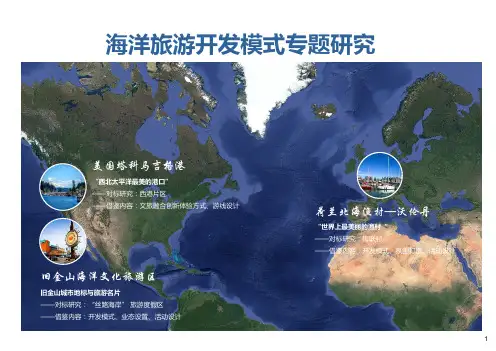 【精品】2020年海洋旅游开发模式专题研究