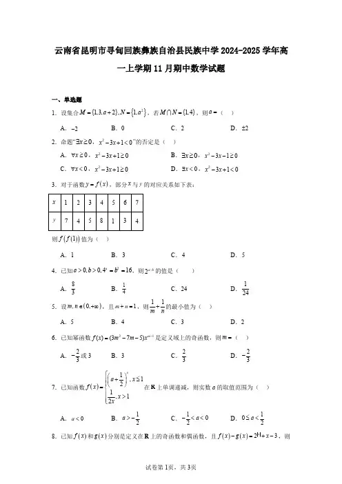 云南省昆明市寻甸回族彝族自治县民族中学2024-2025学年高一上学期11月期中数学试题