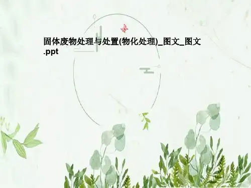 固体废物处理与处置(物化处理)_图文_图文
