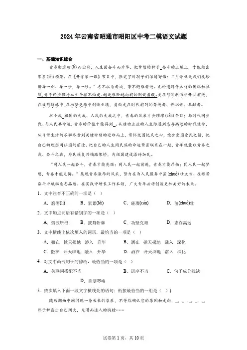 2024年云南省昭通市昭阳区中考二模语文试题