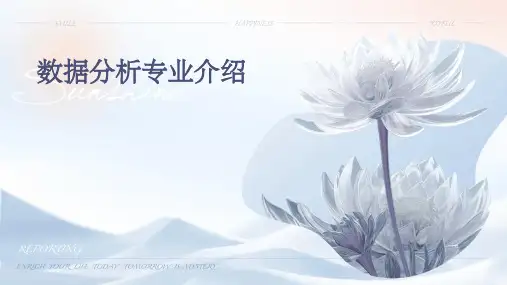 数据分析专业介绍
