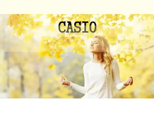 CASIO品牌