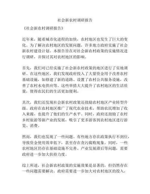 社会新农村调研报告