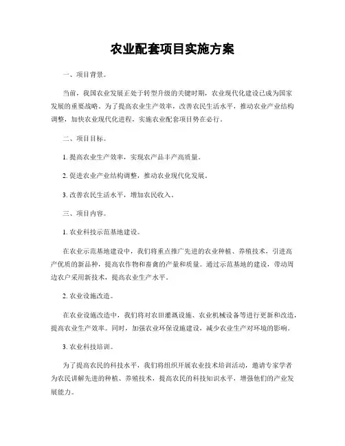 农业配套项目实施方案