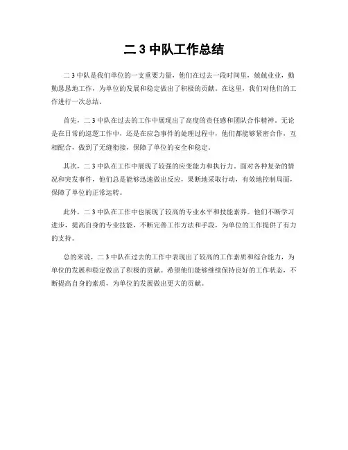 二3中队工作总结