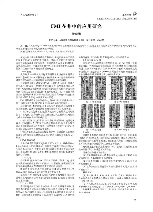 FMI在井中的应用研究