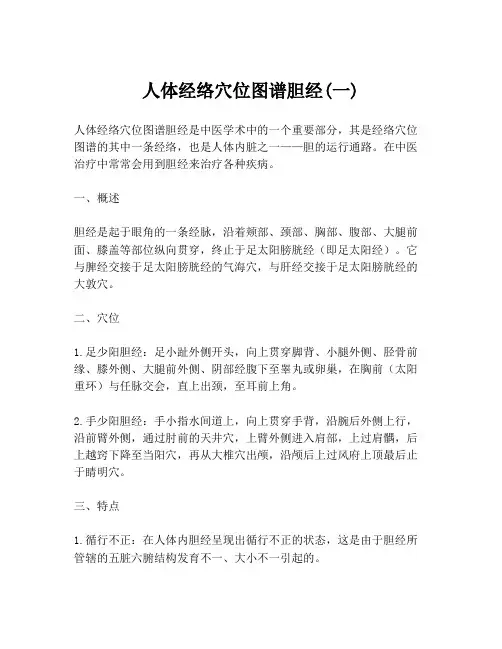 人体经络穴位图谱胆经(一)