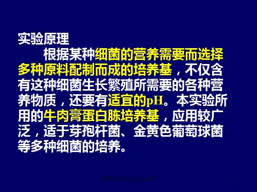 细菌培养的基本技术课件