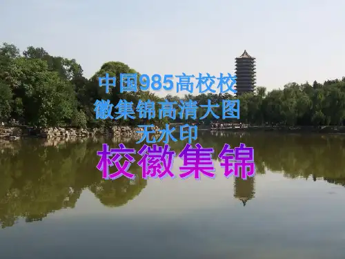 中国985高校校徽集锦高清大图无水印