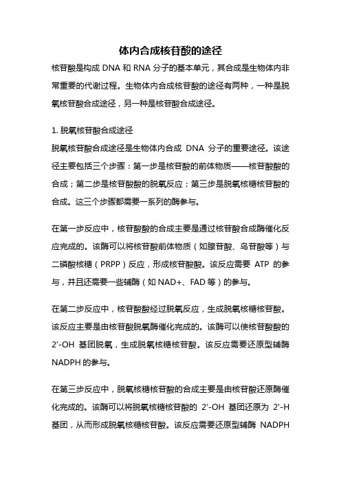 体内合成核苷酸的途径