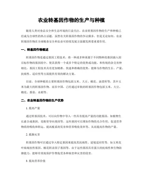 农业转基因作物的生产与种植