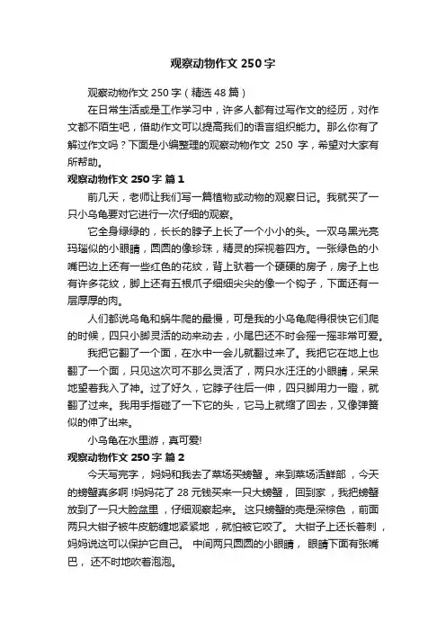 观察动物作文250字（精选48篇）