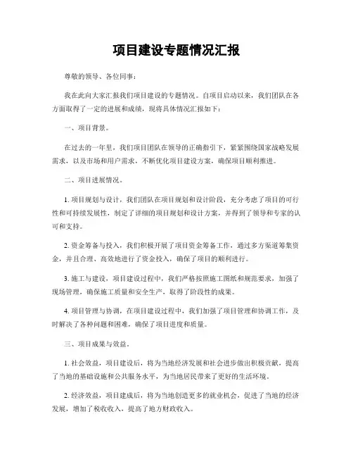 项目建设专题情况汇报