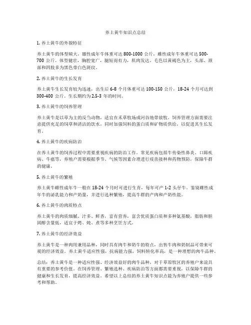 养土黄牛知识点总结