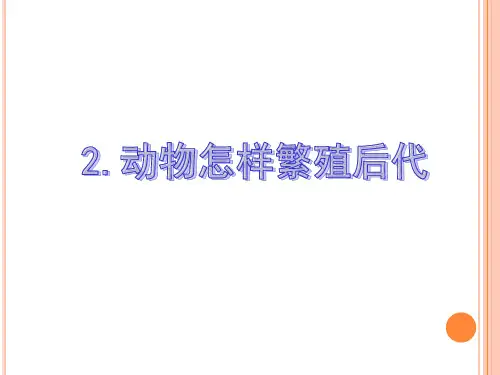 苏教版五年级科学12动物怎样繁殖后代课件