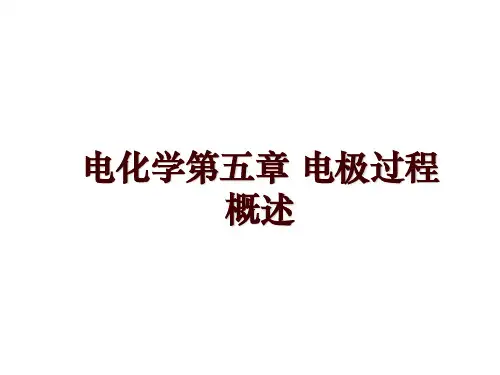 电化学第五章 电极过程概述