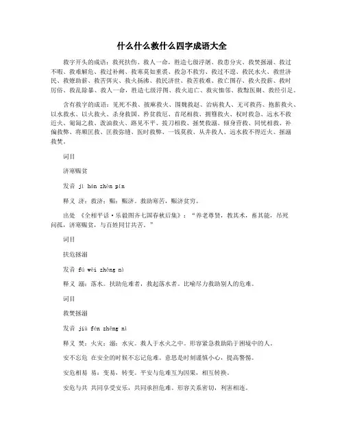 什么什么救什么四字成语大全