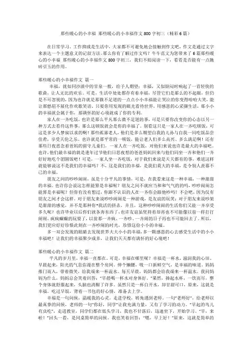 那些暖心的小幸福 那些暖心的小幸福作文800字初三(精彩6篇)